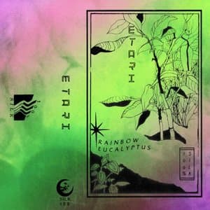 Rainbow Eucalyptus