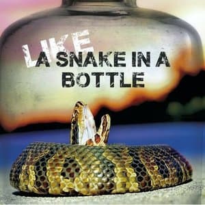 Like a snake in a bottle