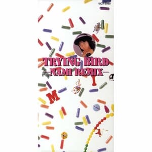 Trying Bird (Nami Remix)