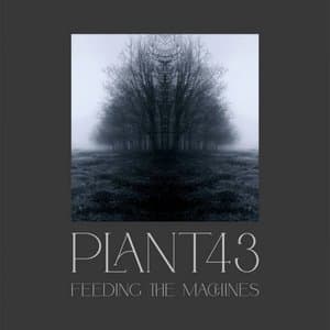 Feeding the Machines