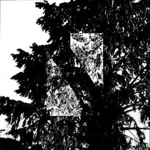 Nsl003: Ruminate With The Floating Tahsis Trance Band