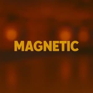 Magnetic