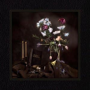 The Winter of Our Discotheque