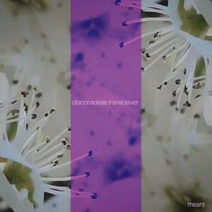 disconsolate transceiver