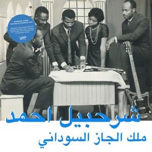 The King of Sudanese Jazz (Habibi Funk 013)