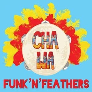 FunknFeathers
