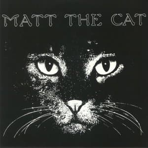 Matt The Cat