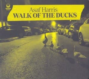 Walk of the Ducks