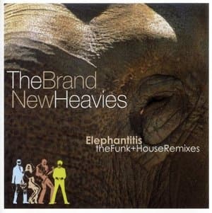 Elephantitis (Funk + House Remixes)