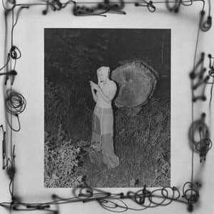 A Bowl of Unripe Fruit