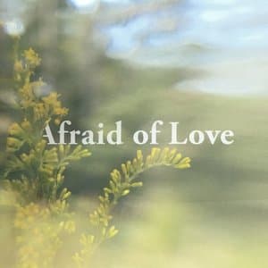 Afraid of Love