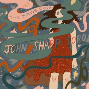 John Sharp Toro