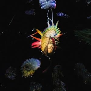 Amos Flat: Room 1 & 2