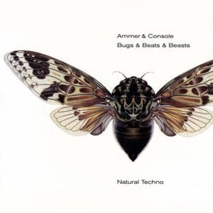 Bugs & Beats & Beasts