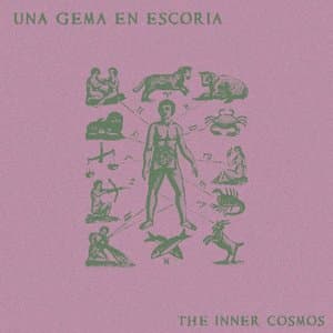 The Inner Cosmos