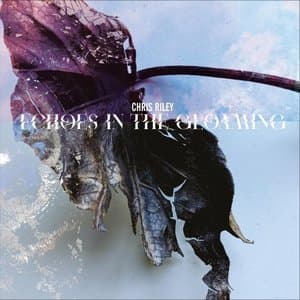 Echoes in the Gloaming