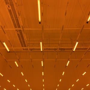 The Mont Aigu Tapes II