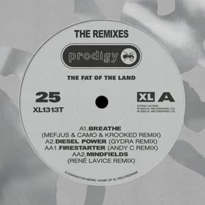 The Fat Of The Land 25th Anniversary - Remixes