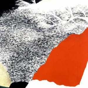 I Thought I Saw an Eagle But it Might Have Been a Vulture; I Never Knew the Difference