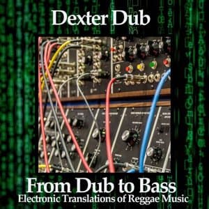 From Dub to Bass (Electronic Translations of Reggae Music)