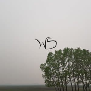 Life, a Work in Progress