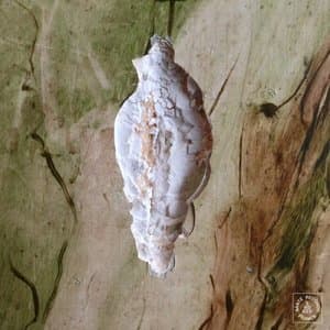 Fatigue de la lumiere