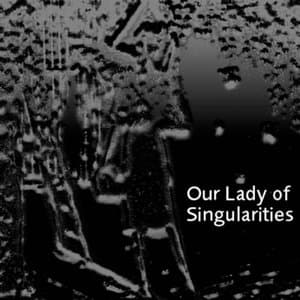 Our Lady of Singularities