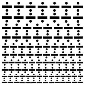 R.N.A.O Meets P.O.P.O