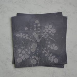 Music For Melted Floors