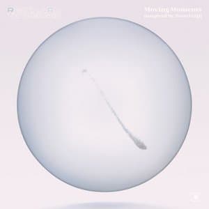 Moving Moments (Inspired by Zoro Feigl)