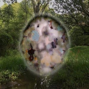 Face First In The Entangled