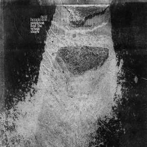 Plankton and the Whale Shark