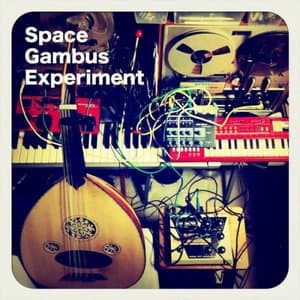 Space Gambus Experiment