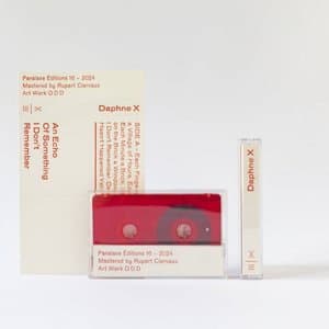 An Echo Of Something I Dont Remember