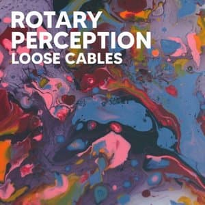 Rotary Perception