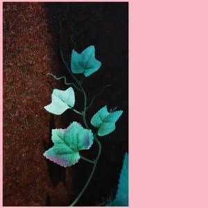 Jabu + Daniela Dyson