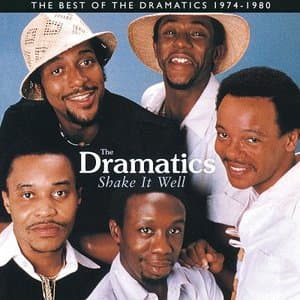 Shake It Well The Best Of The Dramatics 1974 - 1980