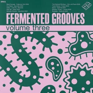 Fermented Grooves Vol 3