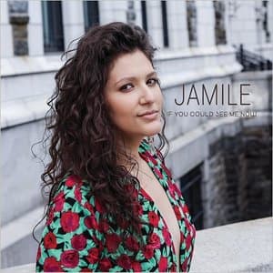 If You Could See Me Now