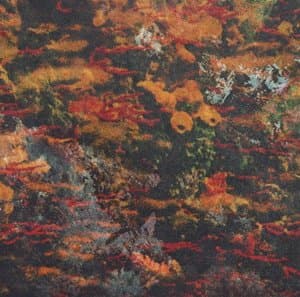 Naissance Aux Mondes Invisibles