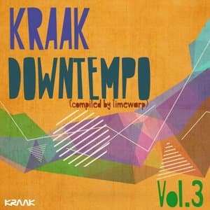 Kraak Downtempo, Vol.3