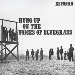 Hung Up On The Voices Of Bluegrass