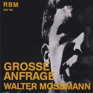 Grosse Anfrage - Chansons