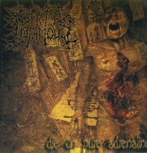 Die On Pure Adrenaline