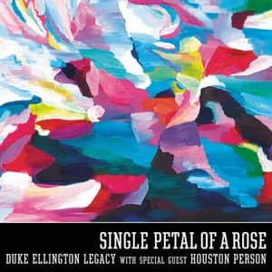 Single Petal of A Rose