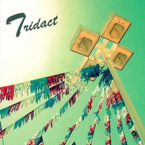 Tridact