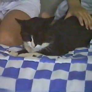 growing old and dying in your sleep 