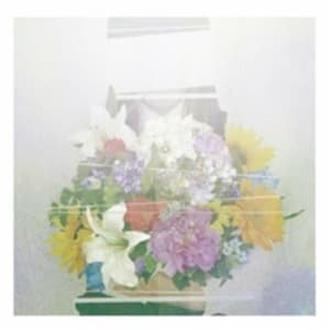 The Summer Grass Is Getting In The Way