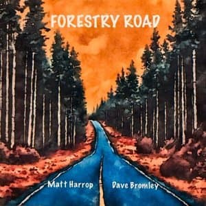 Forestry Road