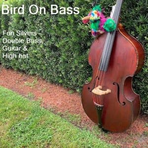 Bird on Bass